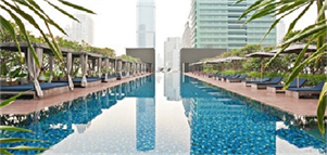เดอะ เมท